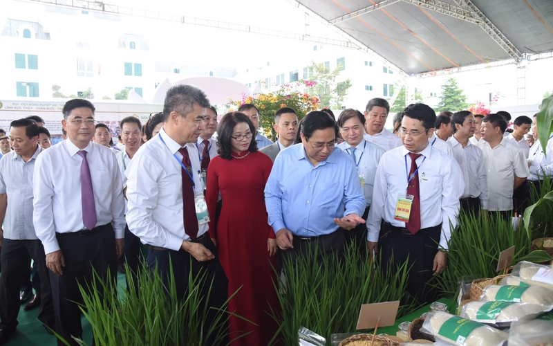 Thủ tướng Phạm Minh Chính kỳ vọng Việt Nam sẽ có trường đại học hàng đầu thế giới về nông nghiệp