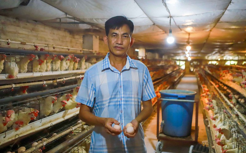 Tỷ phú nuôi gà ở Hải Dương từng lao đao thua lỗ hàng chục tỷ đồng vì thị trường gà biến động
