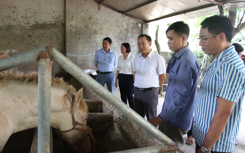 Thái Nguyên: Hội Nông dân tỉnh thẩm định hộ đạt danh hiệu nông dân sản xuất kinh doanh giỏi cấp tỉnh năm 2022