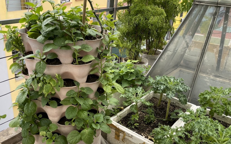Độc đáo mô hình tháp trồng rau hữu cơ với nguyên lý thuận tự nhiên