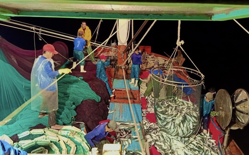 Clip ngư dân Quảng Bình chia sẻ về chuyến biển để đời giữa Biển Đông bắt gọn luồng cá nục khổng lồ 250 tấn 