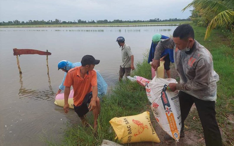 Nông dân xã này ở Kiên Giang thả vô số cá giống xuống "đồng không mông quạnh" để làm gì?