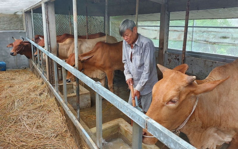 Tấm lòng người cựu chiến binh