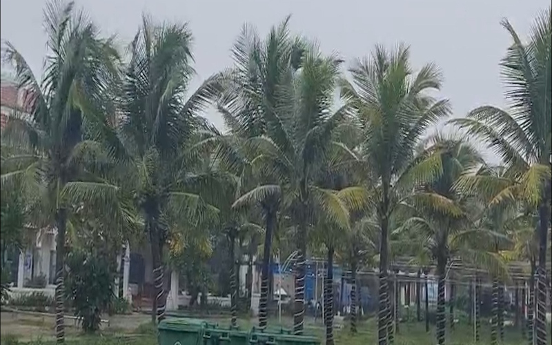 Mưa nặng hạt, gió giật mạnh và sóng lớn ở Quảng Nam