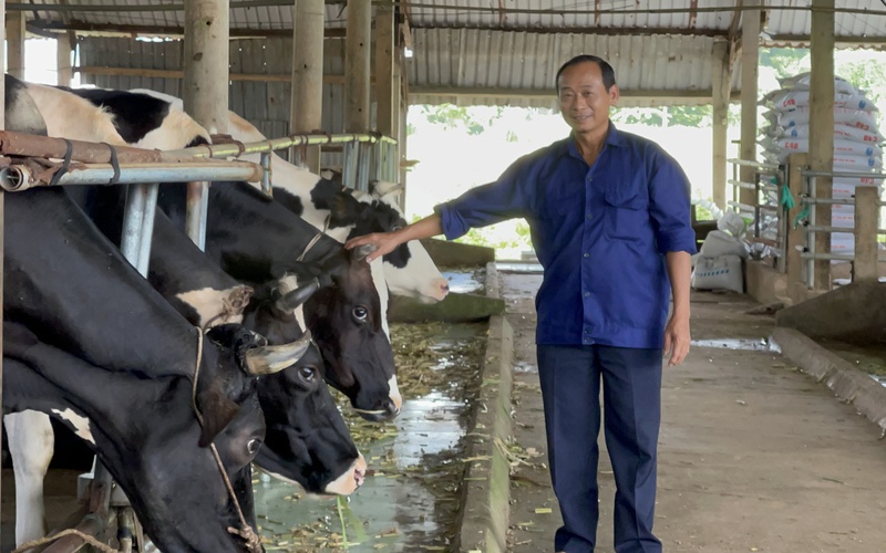 Tỷ phú nuôi bò, vắt sữa làm sữa chua thu hơn 2 tỷ/năm được bình chọn danh hiệu Nông dân Việt Nam xuất sắc 2022