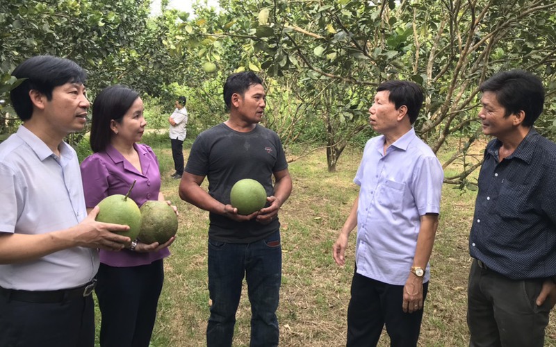 Chàng nông dân miền núi Khánh Hòa và hành trình trở thành nông dân sản xuất giỏi cho thu nhập tiền tỷ