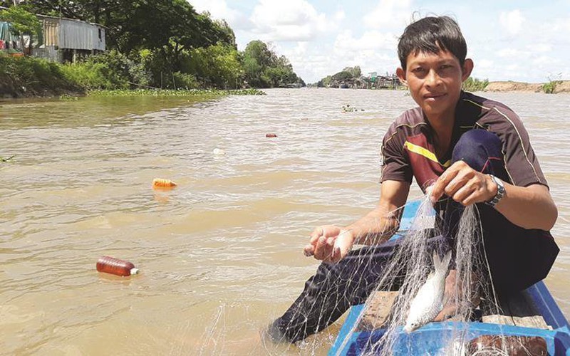 Đây là loài cá xưa bơi đầy ngoài sông ở miền Tây, bắt đem làm chả, chiên lên thì thơm khắp xóm làng