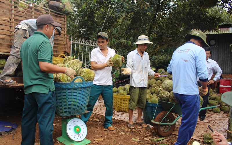Bí thư Tỉnh ủy Đắk Lắk Nguyễn Đình Trung giao nhiệm vụ cho ngành nông nghiệp tỉnh tại Hội nghị tổng kết