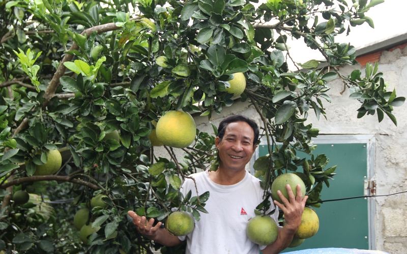 Nông dân huyện Vĩnh Linh (Quảng Trị): Thành tỷ phú nhờ vốn vay Agribank 