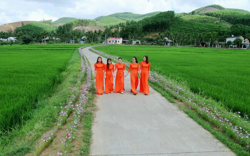 Tuyến đường hoa kiểu mẫu nông thôn mới ở Bình Định chụp ảnh, quay phim cực đẹp, không cần dùng app