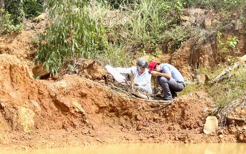 Sở TNMT Quảng Ngãi kết luận gì về phản ánh sai phạm tại mỏ đất của Công ty Việt Đức?