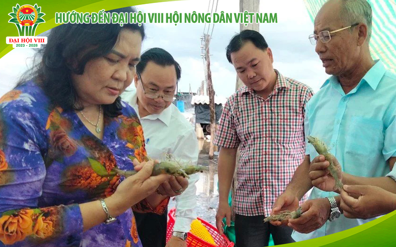 Hướng đến Đại hội VIII Hội Nông dân Việt Nam: Chuyện về những câu lạc bộ nông dân tỷ phú ở Bến Tre (Bài 3)