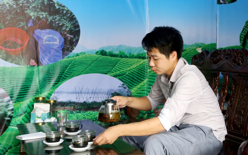 Tưởng là bỏ đi, Giám đốc HTX 9X ở Phú Thọ biến hoa đu đủ đực thành trà, thu tiền tỷ, tạo nhiều việc làm