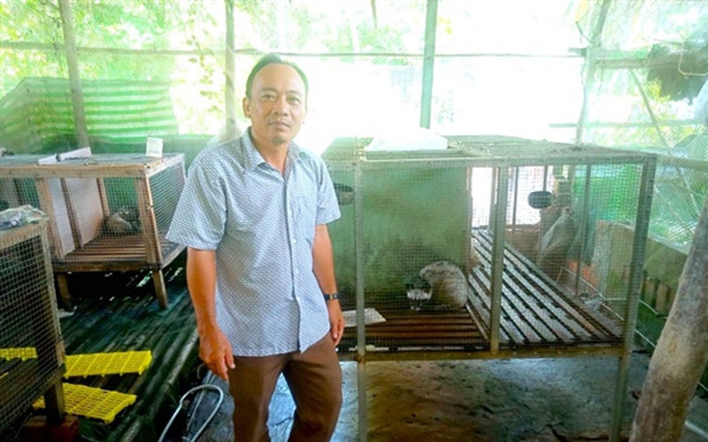 Nuôi con đặc sản ăn tạp, nông dân Hậu Giang chăm nhàn, bán giống 8-10 triệu/cặp