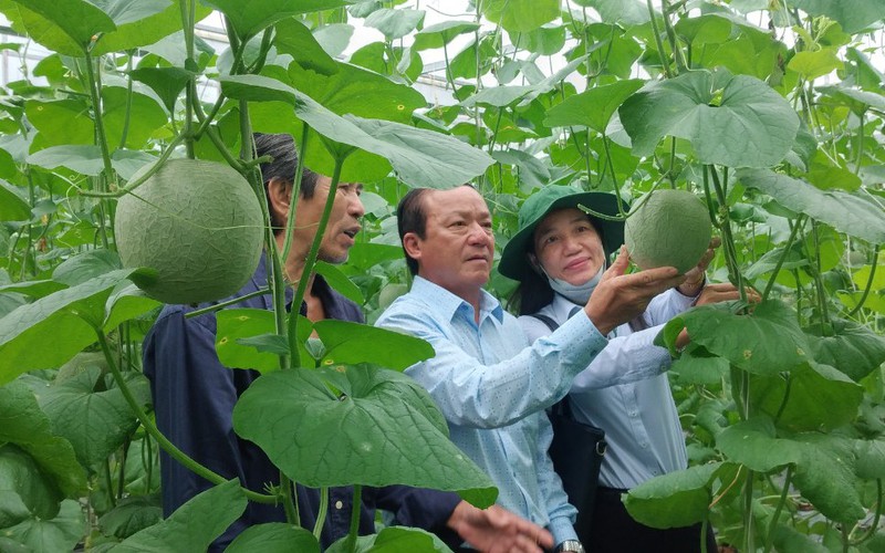 Hướng tới Đại hội VIII Hội Nông dân Việt Nam: Đột phá từ Quỹ Hỗ trợ nông dân, 5 năm tăng 1.761 tỷ (Bài 1)