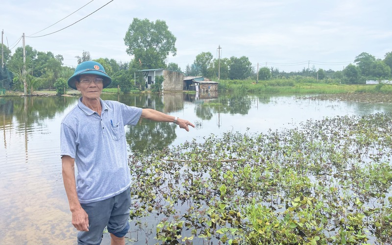 Mưa lớn ở Quảng Bình, nước ngập, loại cây ra củ đặc sản của nông dân xã này có nơi chìm nghỉm