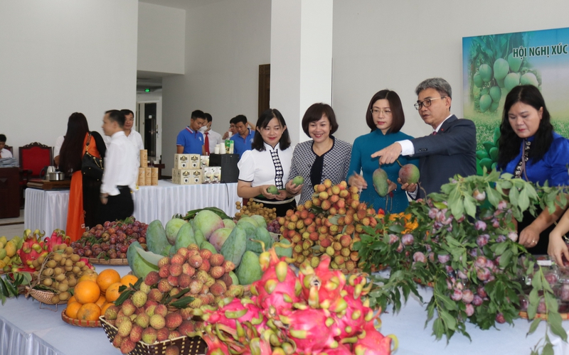 Sơn La: Mở rộng thị trường cho sản phẩm nông nghiệp
