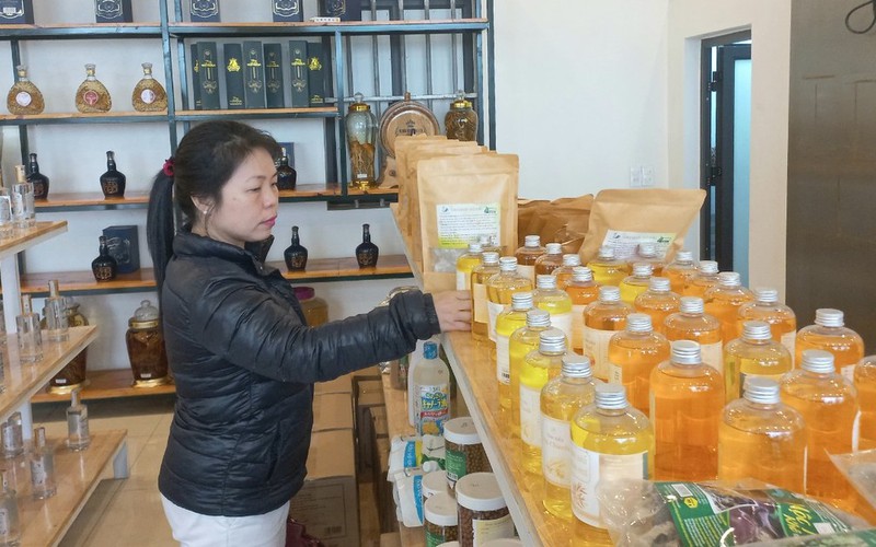 Trăn trở 'đầu ra' của hành, tỏi Kinh Môn