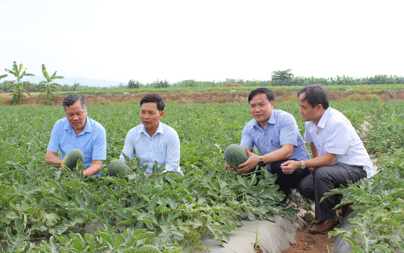 Nguồn vốn Quỹ Hỗ trợ nông dân tỉnh Bắc Ninh giải quyết việc làm, tăng thu nhập cho hơn 3.400 lao động