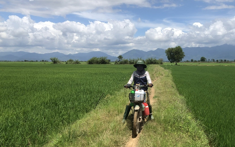 Nông thôn mới Bình Thuận, nông dân bán nông sản qua sàn thương mại điện tử, thăm ruộng thời công nghệ 4.0