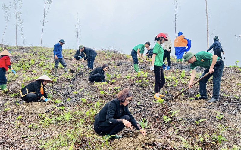 Hội Nông dân tỉnh Tuyên Quang phát động thi đua và Tết trồng cây năm 2023