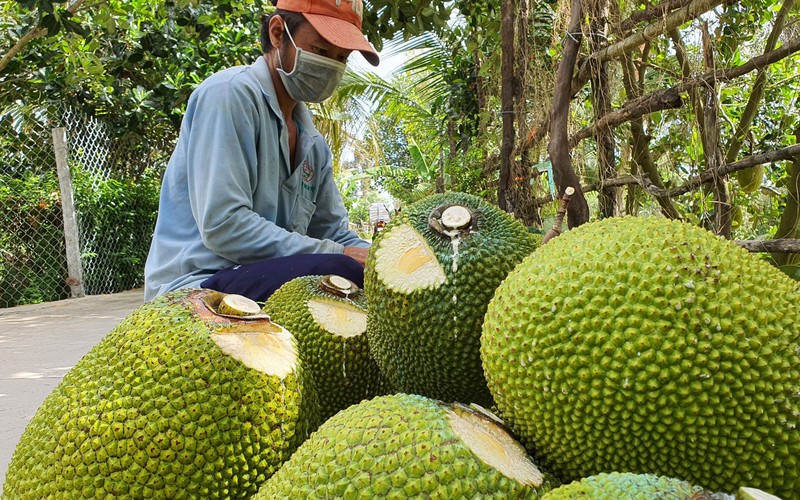Nhiều loại nông - thủy sản được giá
