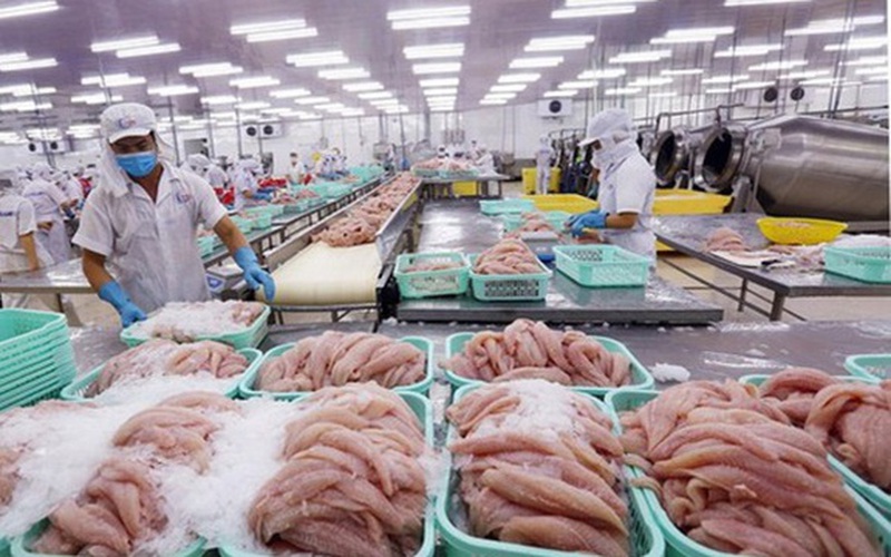 
Trình độ sản xuất cá tra của Việt Nam tương đương Hoa Kỳ 