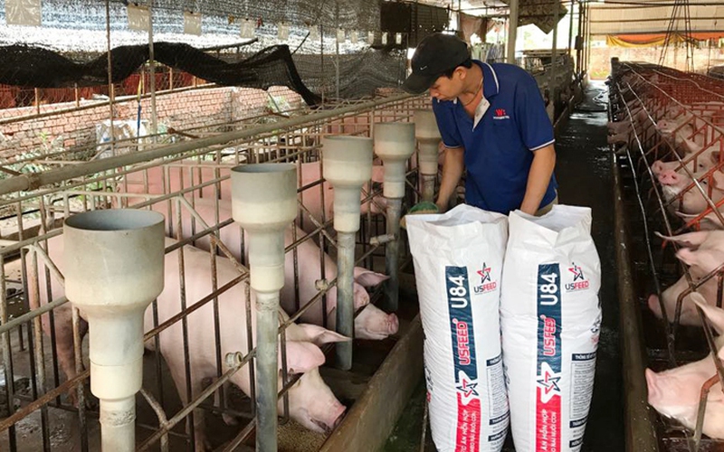 Giá gà, giá heo giảm sâu giữa lúc lãi ngân hàng tăng cao, ngành chăn nuôi Đồng Nai chồng chất khó khăn