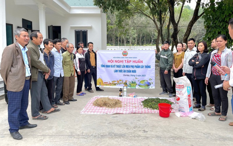 Tập huấn kỹ thuật lên men phụ phẩm cây trồng làm thức ăn chăn nuôi cho 270 nông dân Ninh Bình