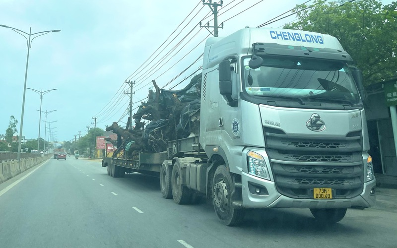 Quảng Bình: Xe đầu kéo chở cây “quái thú” chạy ngược chiều trên quốc lộ