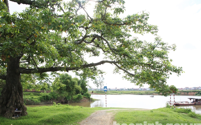 Phòng tuyến sông Như Nguyệt, nơi Lý Thường Kiệt đọc bài thơ thần, đánh bại giặc Tống nay ở đâu Bắc Ninh?