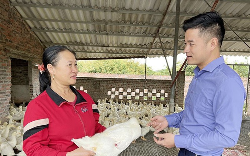 Người đầu tiên ở Việt Nam làm thành công món giò vịt là một anh nông dân Hải Dương