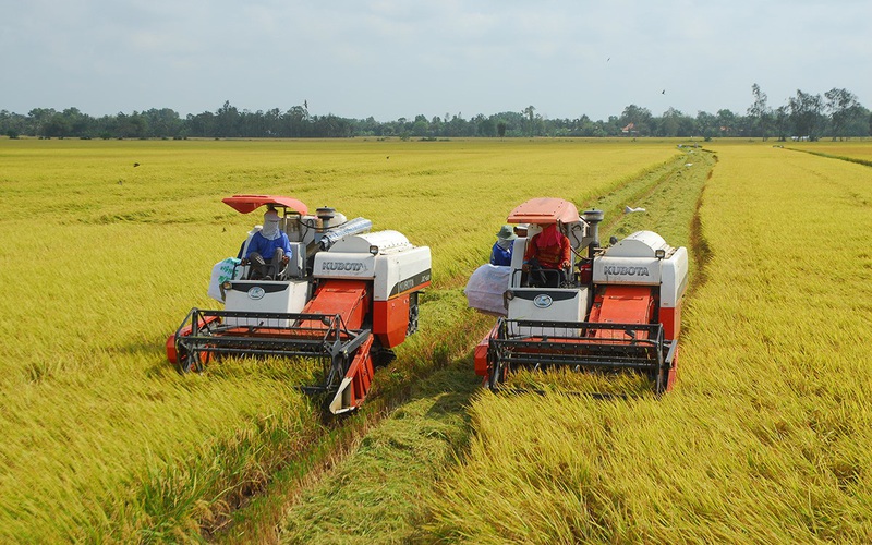 Xây dựng công trình phục vụ sản xuất trên đất trồng lúa: Quy định rõ tiêu chí để hạn chế xin - cho