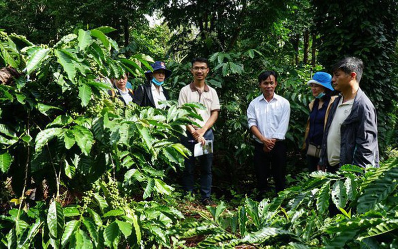Khuyến nông chuyển mình, khát khao đổi mới, doanh nghiệp cũng tâm đắc "đặt hàng" hợp tác