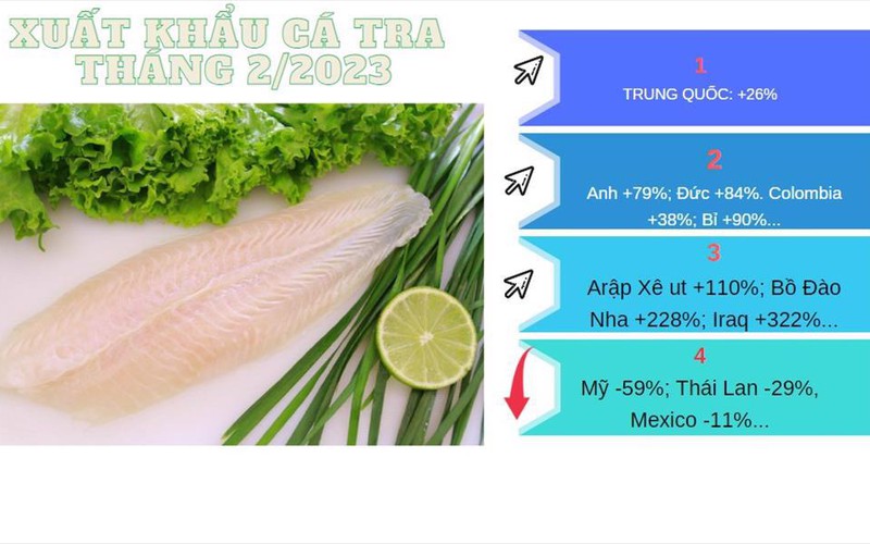 Xuất khẩu cá tra sẽ gặp khó, kỳ vọng chủ yếu vào một số thị trường lớn