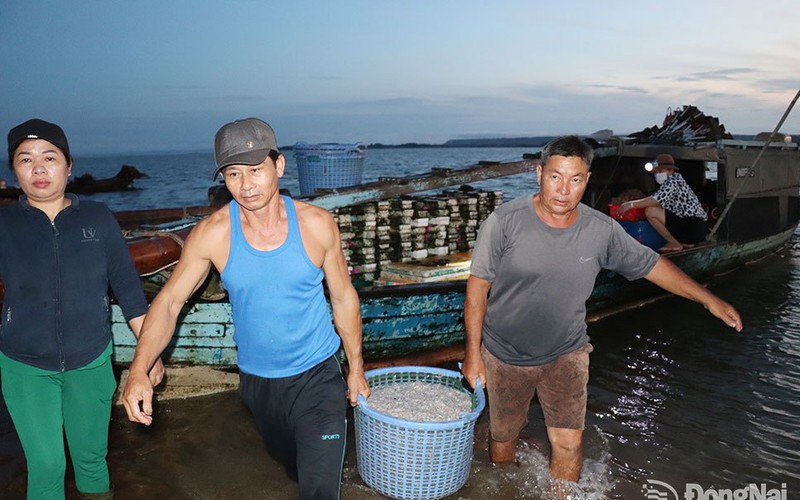 Đồng Nai: Chợ cá bên hồ nước nhân tạo lớn nhất, nhì Việt Nam, dưới nước có con gì, trên bờ có con đó