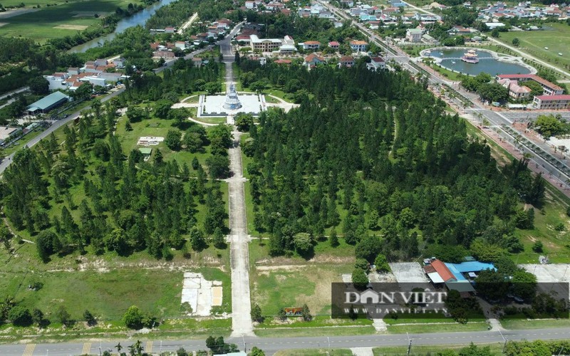 Ban Chỉ đạo phòng chống tham nhũng Bình Định theo dõi vụ gia đình nguyên Bí thư "thâu tóm" hơn 138ha đất rừng 