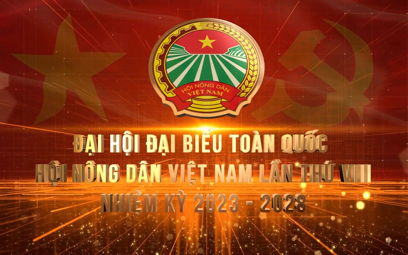 ĐẠI HỘI HỘI NÔNG DÂN VIỆT NAM LẦN VIII: Kiên Giang đưa nhiều công trình chào mừng Đại hội về với nông thôn