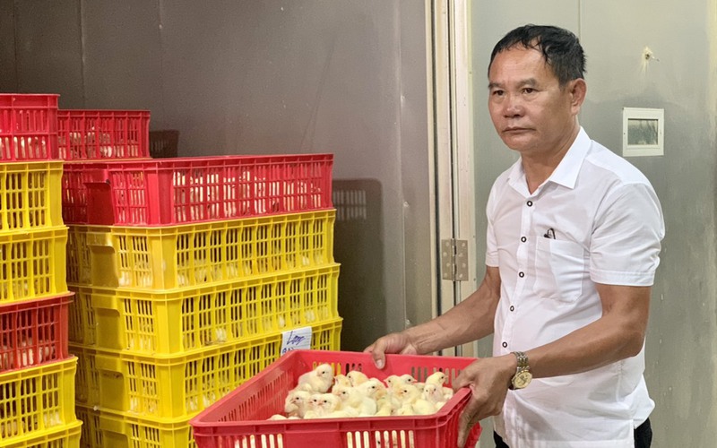 Áp dụng công nghệ cao, nông dân Hà Nội năng động làm  giàu