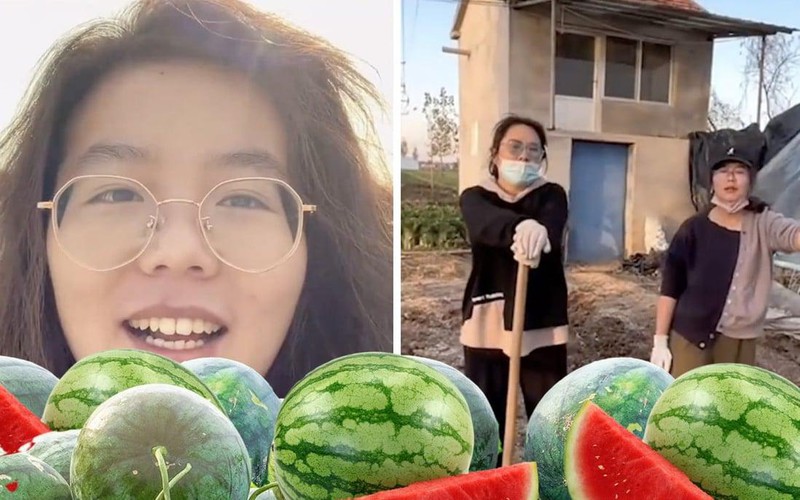 Thạc sĩ bỏ việc lương "khủng" để về quê trồng dưa hấu