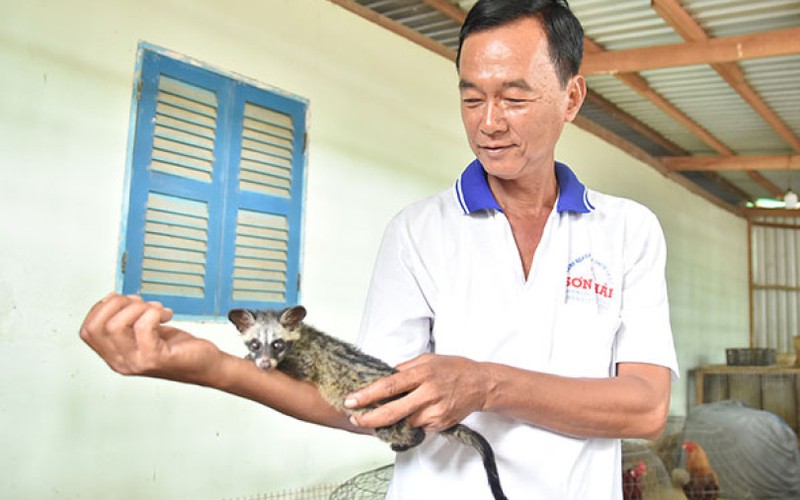 Mua 1 cặp thú về nuôi chơi, cho ăn chuối, cá rô phi, sau 3 năm bất ngờ bán 8,5 triệu đồng/cặp giống