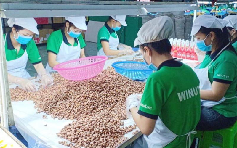 Một loại hạt của Việt Nam được ví như thực phẩm "vàng" cho sức khỏe đắt hàng ở Mỹ, Trung Quốc, Nhật Bản
