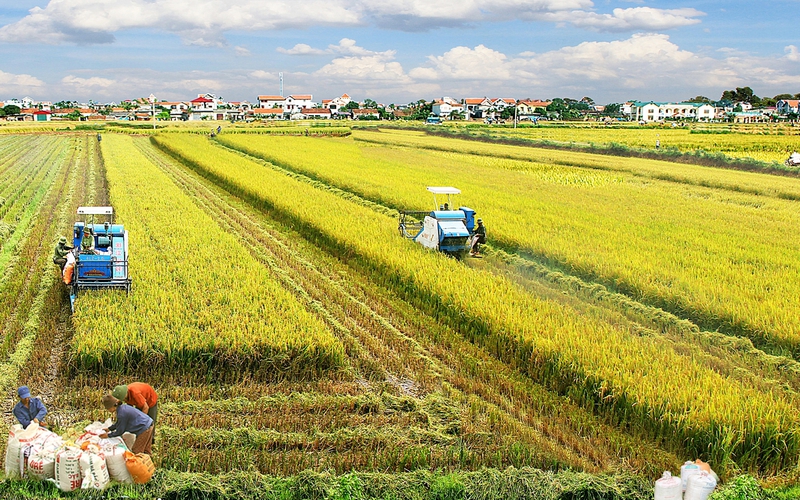 Doanh nghiệp tăng tốc đầu tư ứng dụng vi sinh vật có lợi cho cây trồng