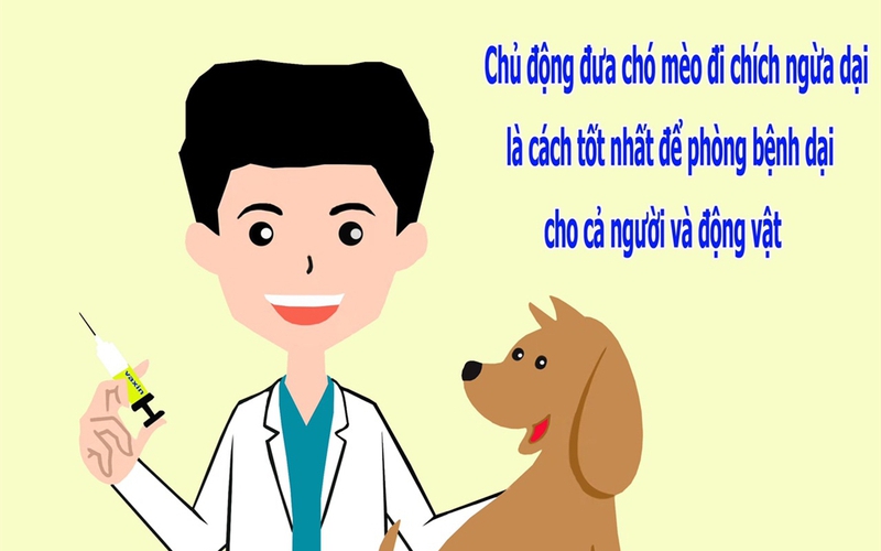 Một bệnh nhân tử vong nghi do chó dại cắn ở Bình Thuận