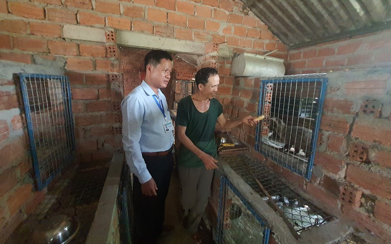 Nuôi con “ăn đêm, ngủ ngày” mà thành đặc sản, một nông dân ở Quảng Nam lãi hàng trăm triệu