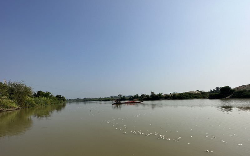 Cá sông chết bất thường, nổi trắng dòng sông Sêrêpôk đoạn chảy qua tỉnh Đắk Lắk và tỉnh Đắk Nông