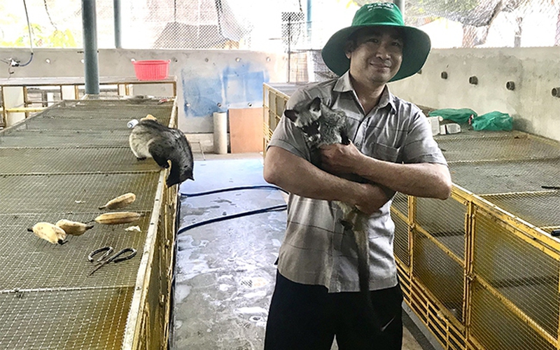 Nuôi loài thú đặc sản để bán con giống, một nông dân Bình Định thu về 1,4 tỷ/năm