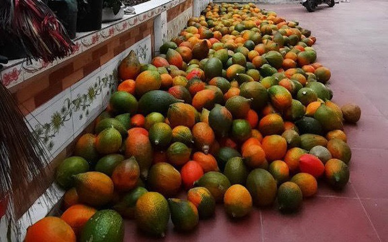 Huyện Việt Yên – Bắc Giang:
Chắp cánh cho sản phẩm OCOP vươn ra thị trường quốc tế