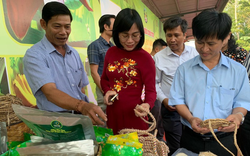 17 nội dung về đầu tư công, nông nghiệp hữu cơ… sẽ được trình tại Kỳ họp thứ 12 HĐND tỉnh Đồng Nai