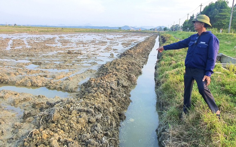 Vụ một doanh nghiệp phá ruộng của nông dân ở Quảng Bình, công an huyện Quảng Ninh đang xác minh